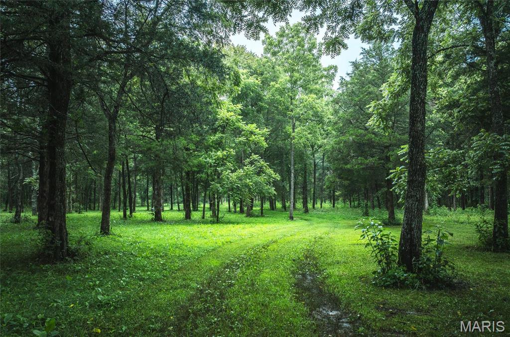 Photo 8 - Farm for sale – 0  County Road 7250   Newburg, MO