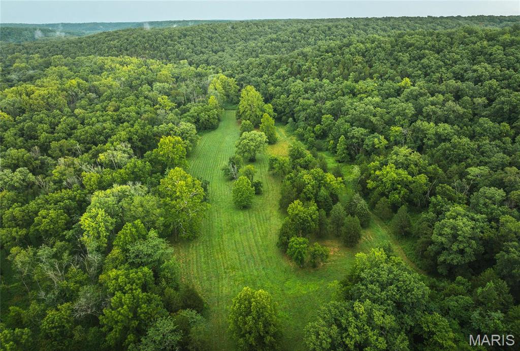 Photo 3 - Farm for sale – 0  County Road 7250   Newburg, MO