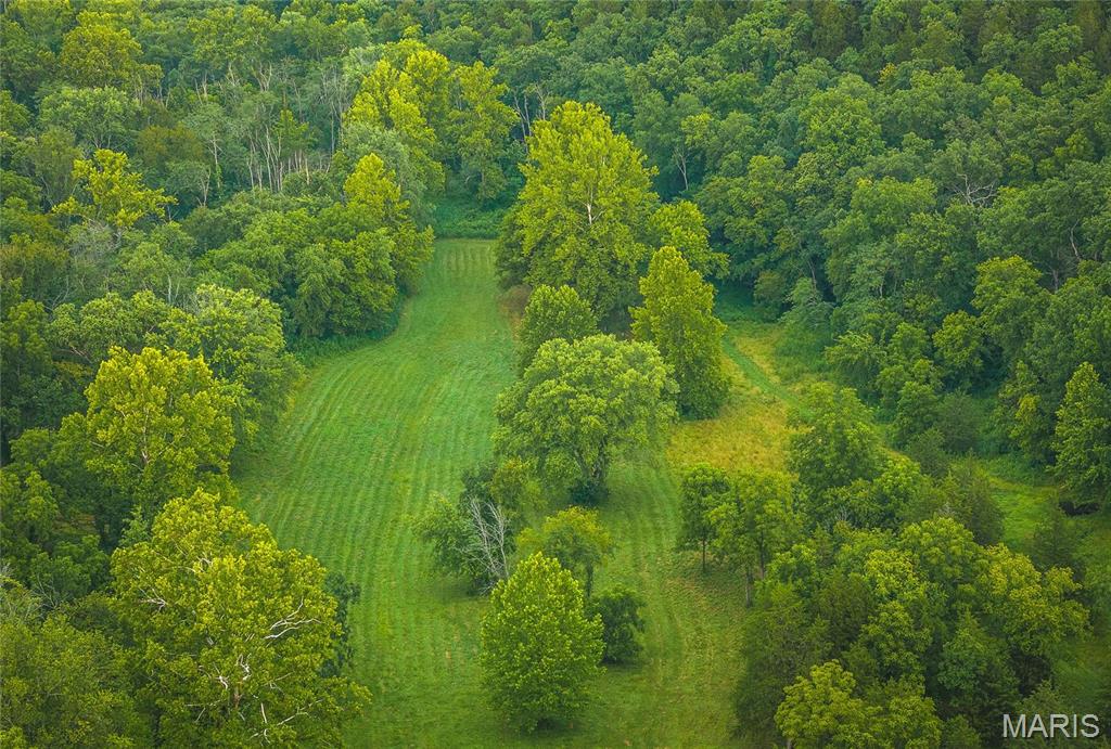 Photo 2 - Farm for sale – 0  County Road 7250   Newburg, MO