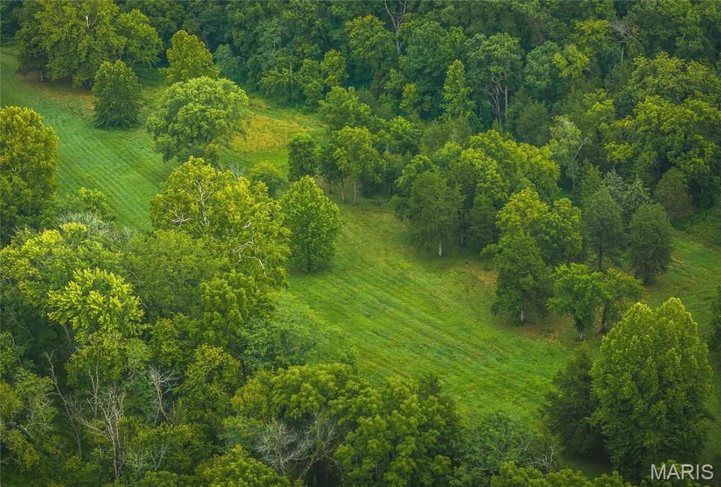 Farm for sale – 0  County Road 7250   Newburg, MO