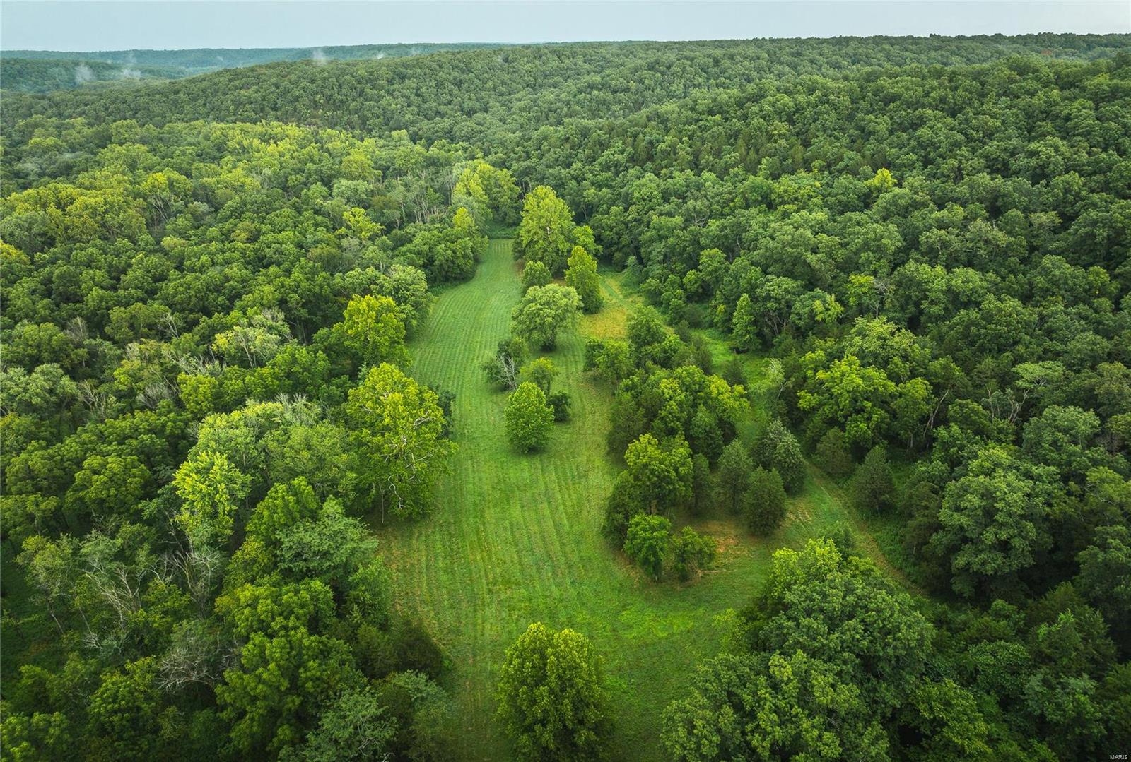 Photo 3 - Farm for sale – 0  County Road 7250   Newburg, MO