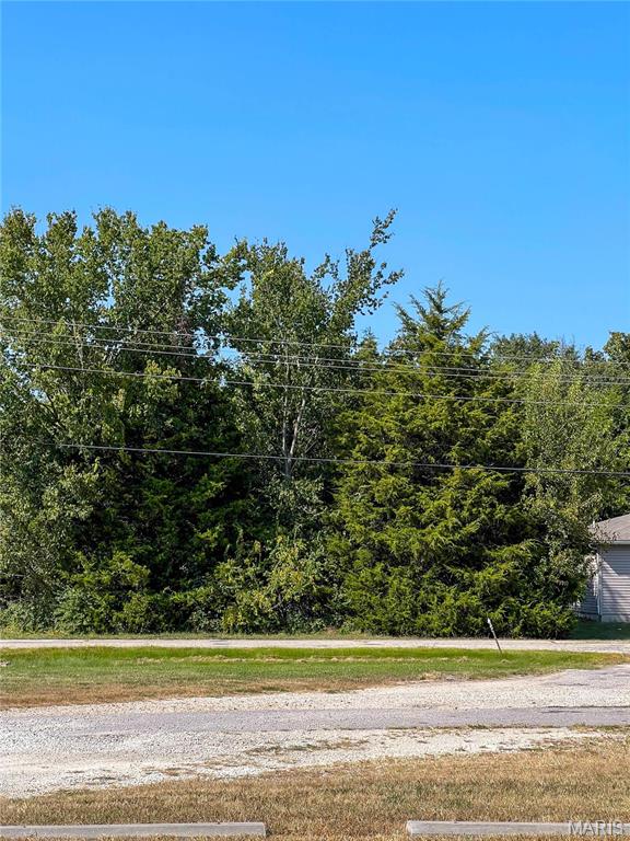 Photo 2 - Farm for sale – 0  Sidney Street  St James, MO