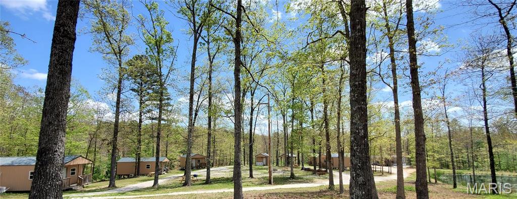 Photo 36 - Farm for sale – 11726  Highway K   Jadwin, MO