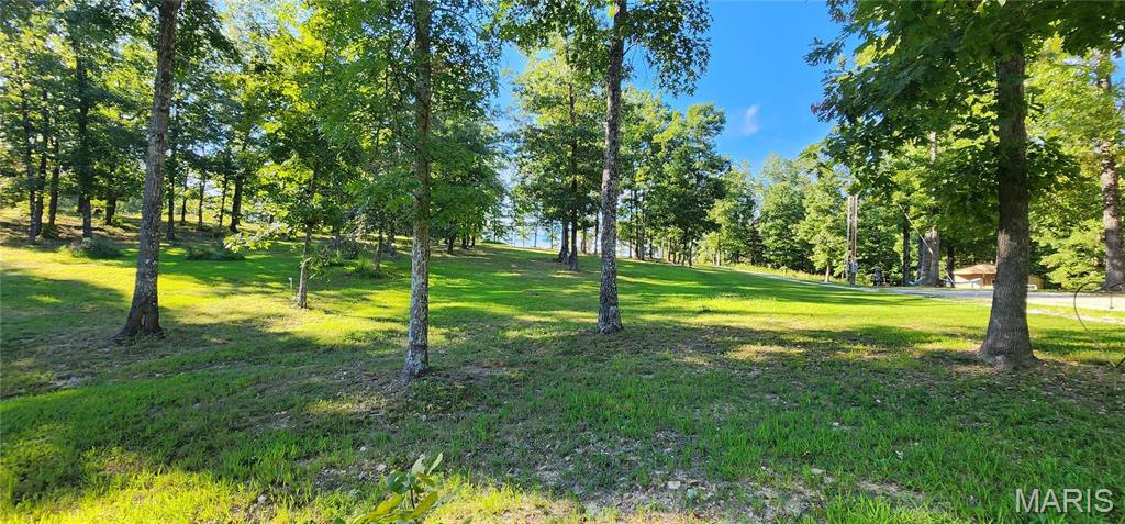 Photo 41 - Farm for sale – 11726  Highway K   Jadwin, MO