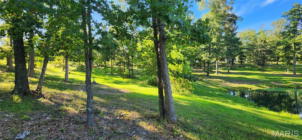 Photo 40 - Farm for sale – 11726  Highway K   Jadwin, MO