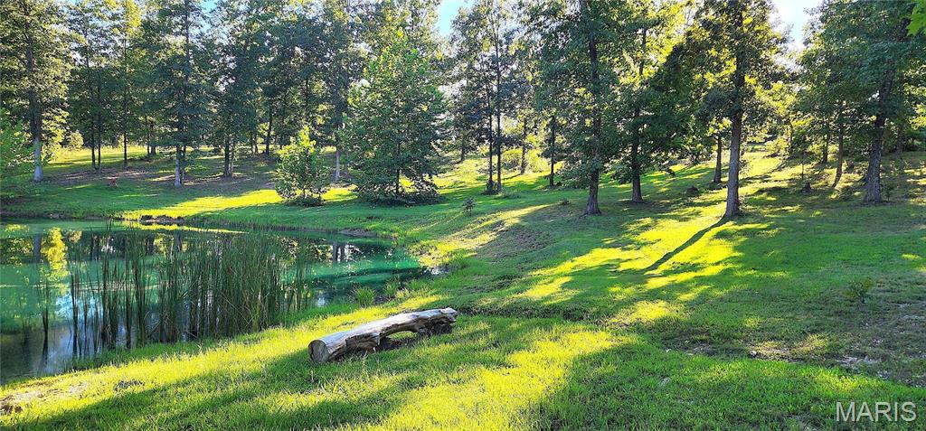 Photo 35 - Farm for sale – 11726  Highway K   Jadwin, MO