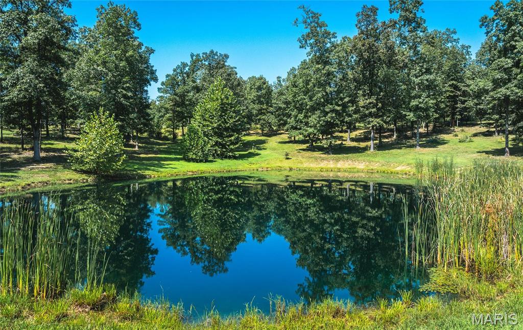 Photo 17 - Farm for sale – 11726  Highway K   Jadwin, MO