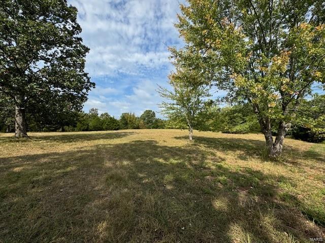 Photo 11 - Farm for sale – 0  TBD S US HIGHWAY 63   Edgar Springs, MO