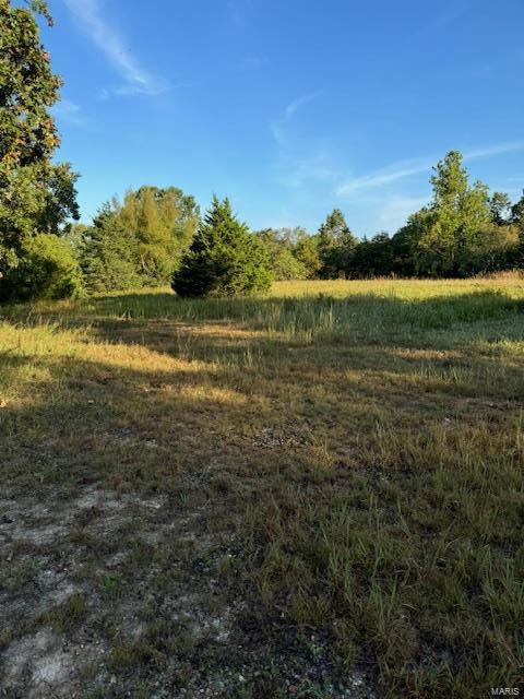 Photo 3 - Farm for sale – 0  TBD S US HIGHWAY 63   Edgar Springs, MO