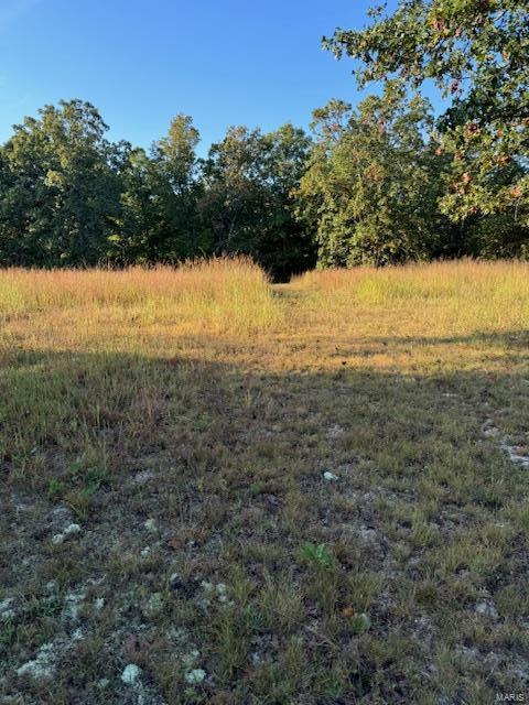Photo 2 - Farm for sale – 0  TBD S US HIGHWAY 63   Edgar Springs, MO