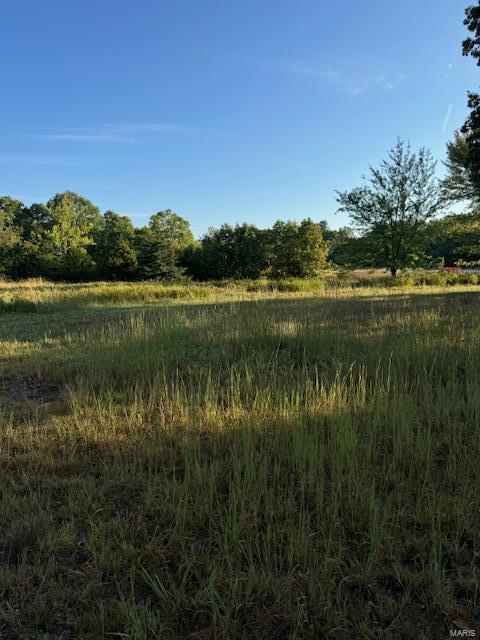 Photo 4 - Farm for sale – 0  TBD S US HIGHWAY 63   Edgar Springs, MO