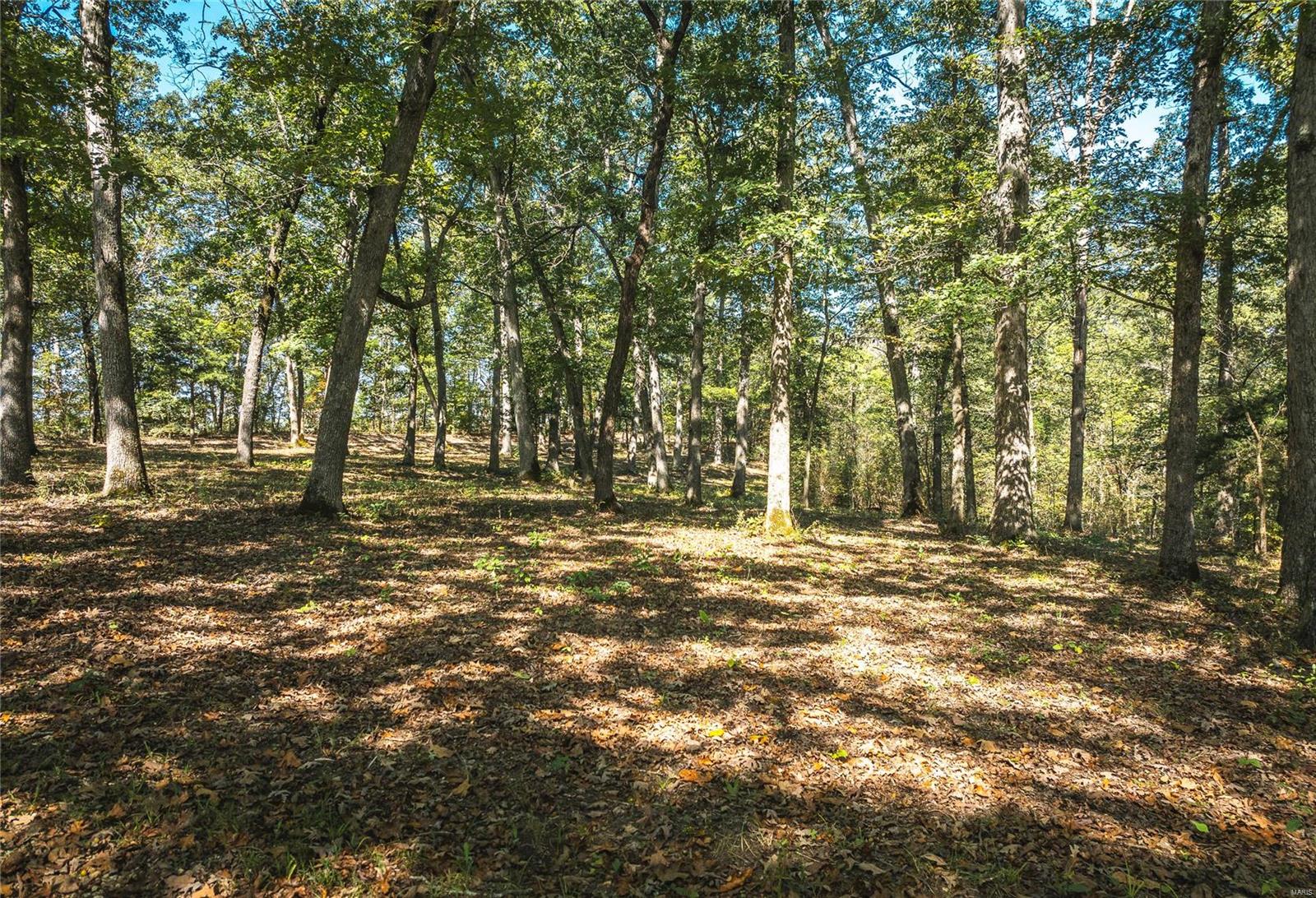 Photo 54 - Farm for sale – 3891 E Lindburg Road  Cuba, MO