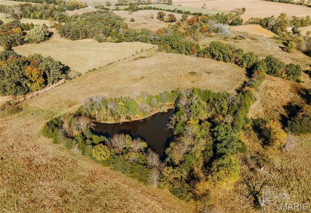 Photo 38 - Farm for sale – 0  Maries Road 407   Belle, MO