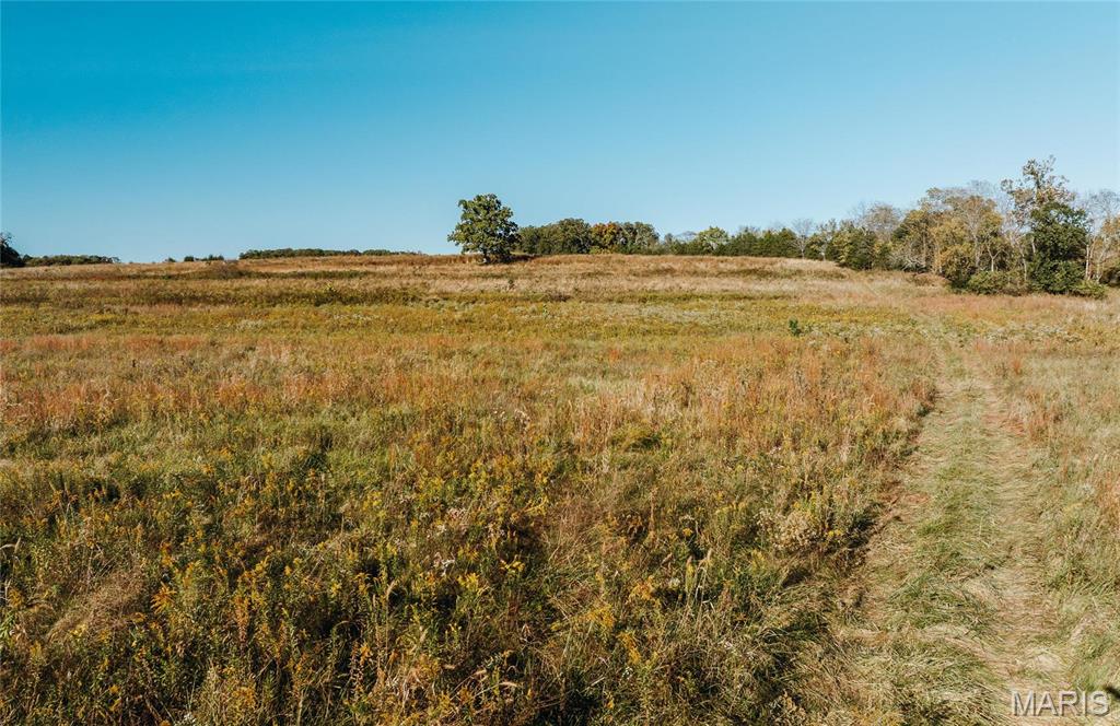 Photo 10 - Farm for sale – 0  Maries Road 407   Belle, MO