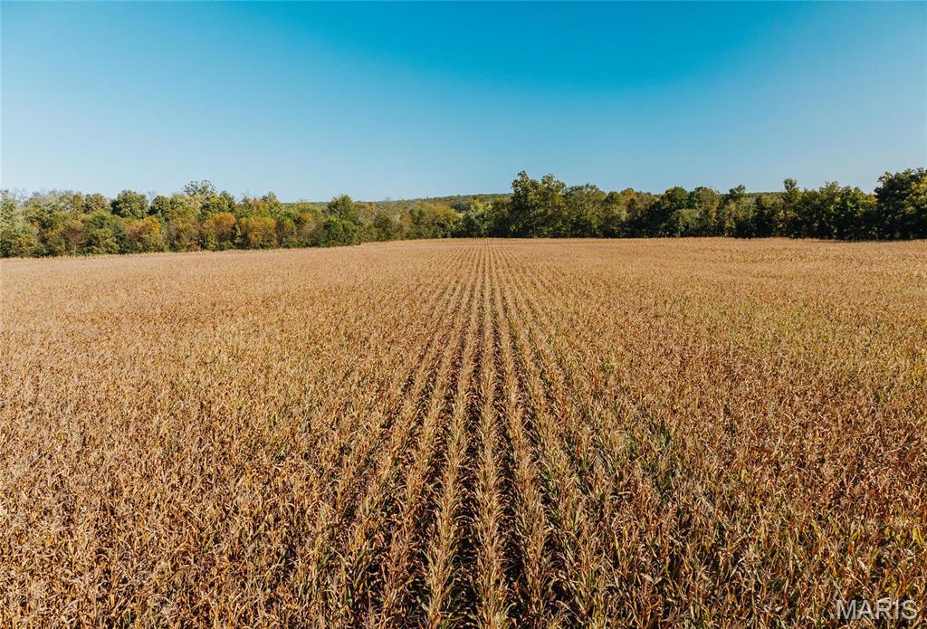 Photo 13 - Farm for sale – 0  Maries Road 407   Belle, MO