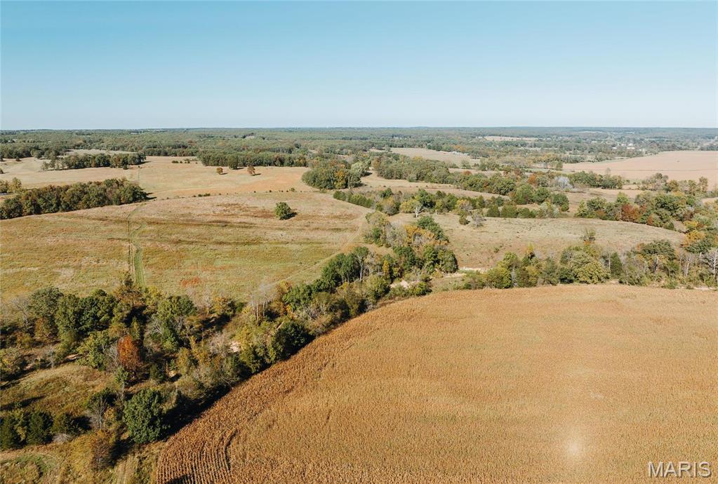 Photo 2 - Farm for sale – 0  Maries Road 407   Belle, MO