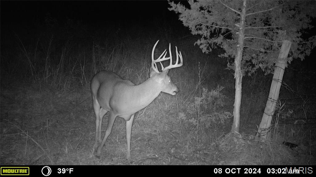 Photo 26 - Farm for sale – 0  Maries Road 407   Belle, MO