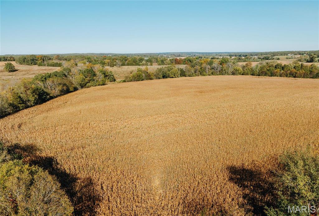 Photo 12 - Farm for sale – 0  Maries Road 407   Belle, MO
