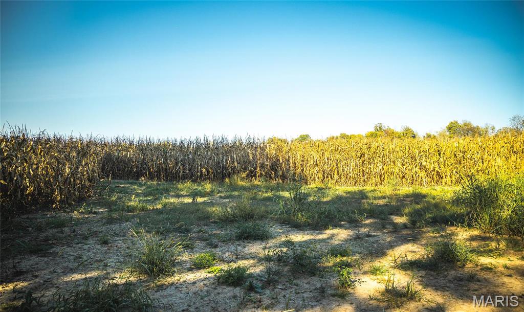 Photo 4 - Farm for sale – 0  Maries Road 407   Belle, MO