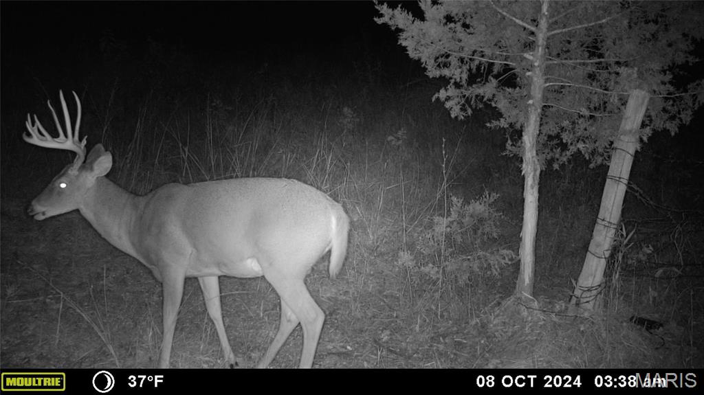 Photo 27 - Farm for sale – 0  Maries Road 407   Belle, MO