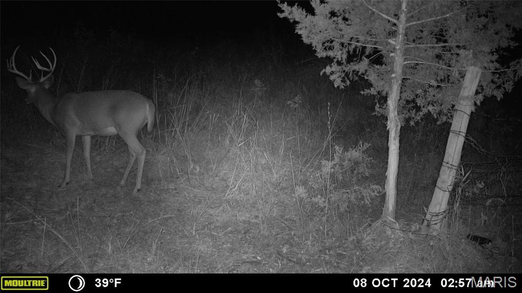 Photo 25 - Farm for sale – 0  Maries Road 407   Belle, MO