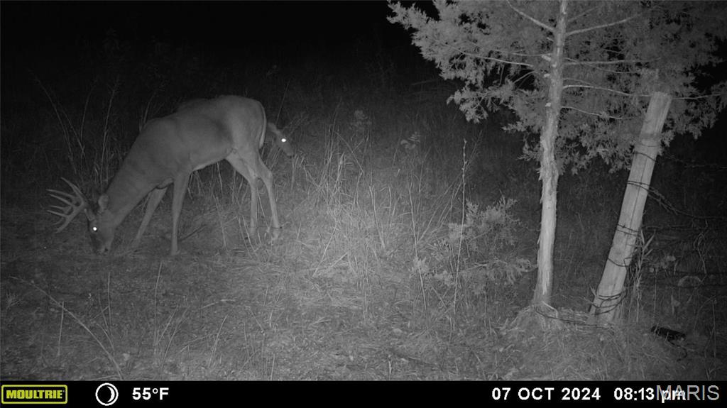 Photo 22 - Farm for sale – 0  Maries Road 407   Belle, MO