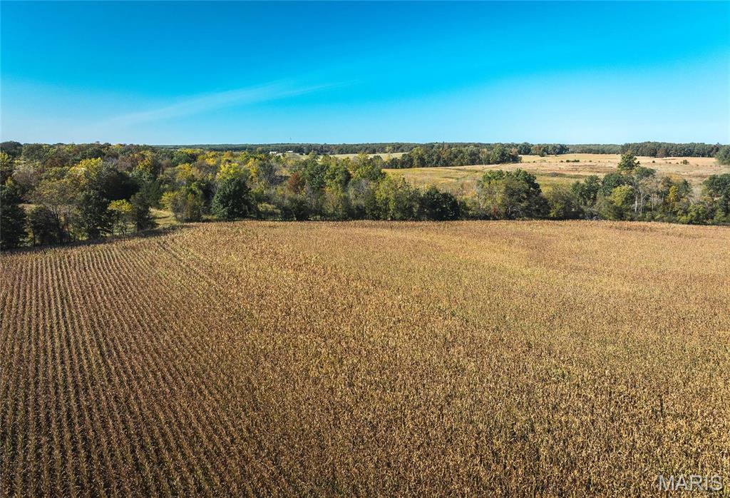 Photo 35 - Farm for sale – 0  Maries Road 407   Belle, MO