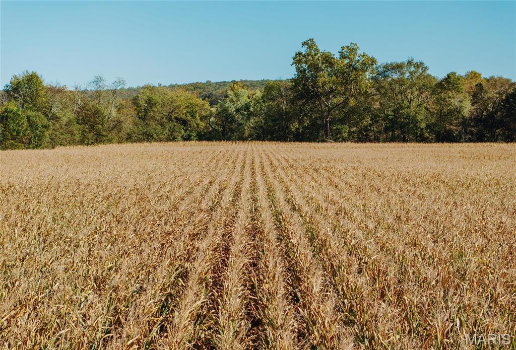 Photo 36 - Farm for sale – 0  Maries Road 407   Belle, MO