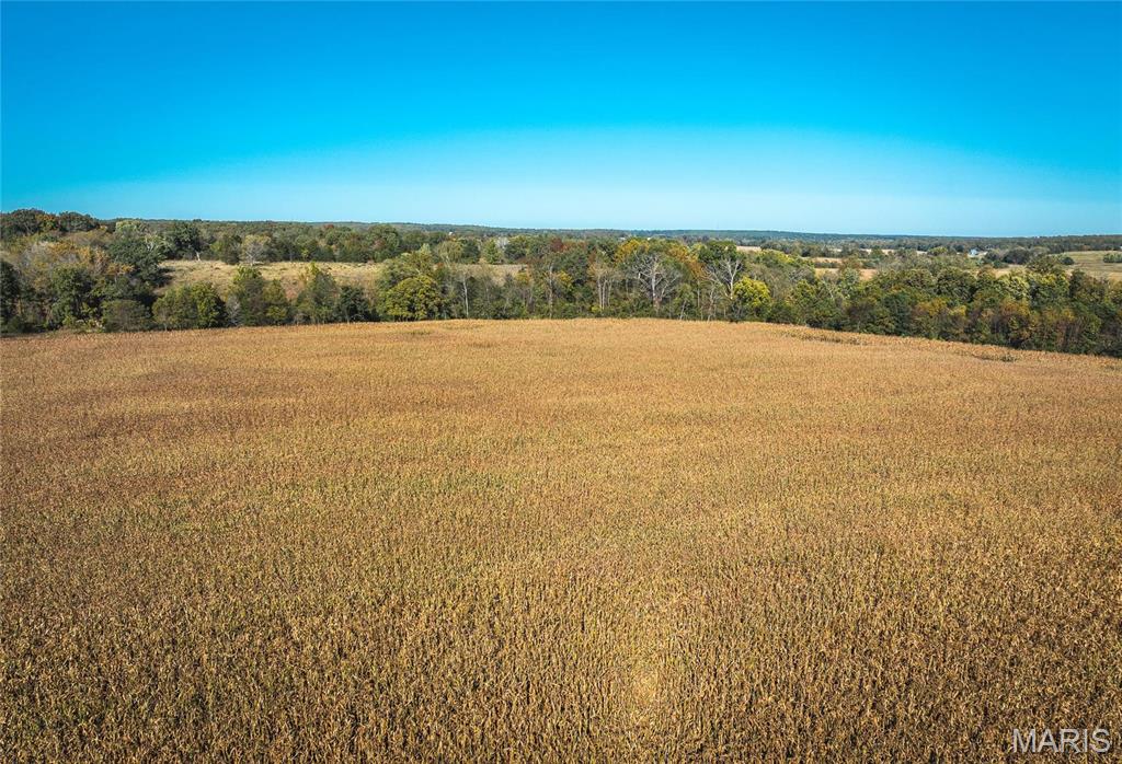 Photo 39 - Farm for sale – 0  Maries Road 407   Belle, MO