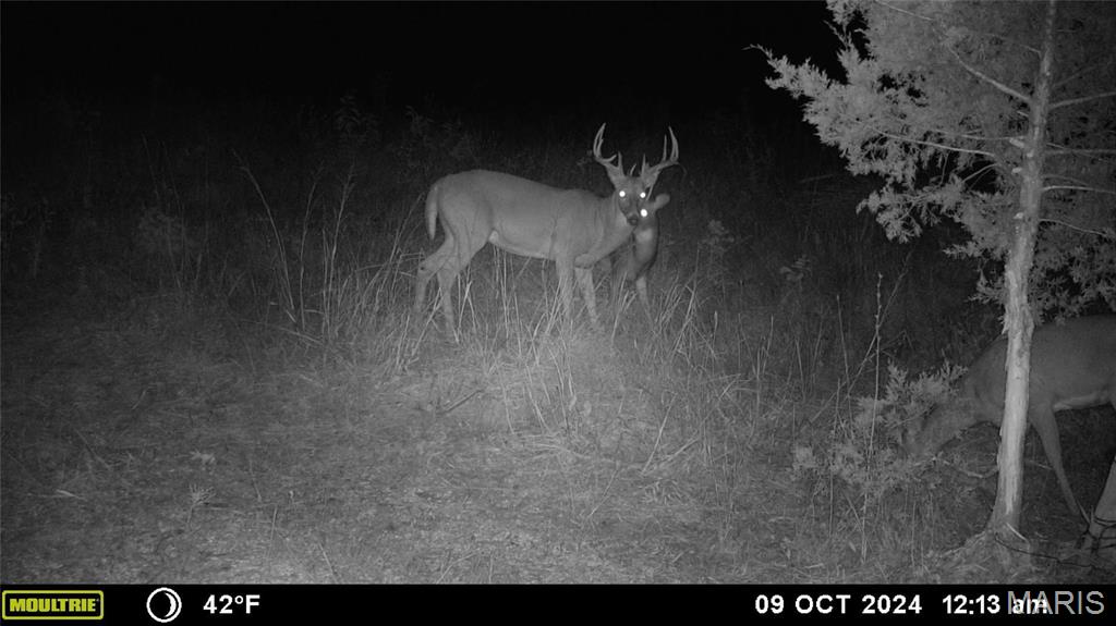 Photo 31 - Farm for sale – 0  Maries Road 407   Belle, MO