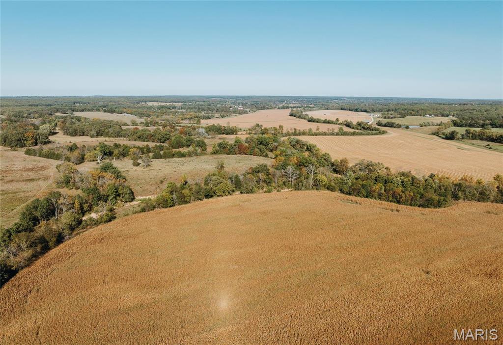 Photo 3 - Farm for sale – 0  Maries Road 407   Belle, MO