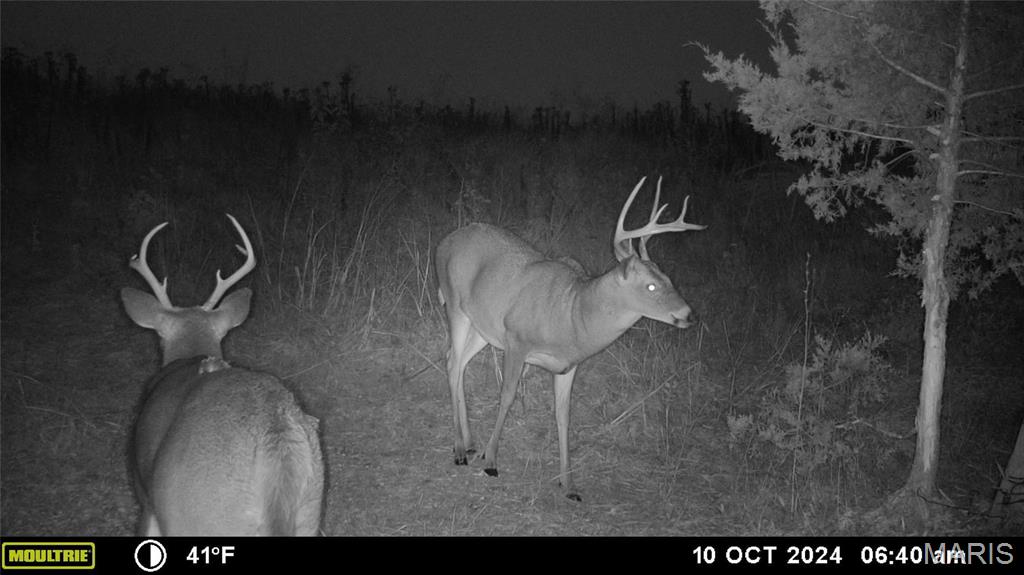 Photo 29 - Farm for sale – 0  Maries Road 407   Belle, MO