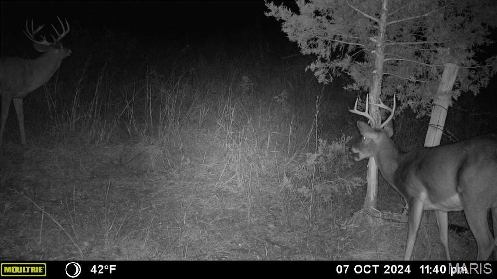 Photo 24 - Farm for sale – 0  Maries Road 407   Belle, MO