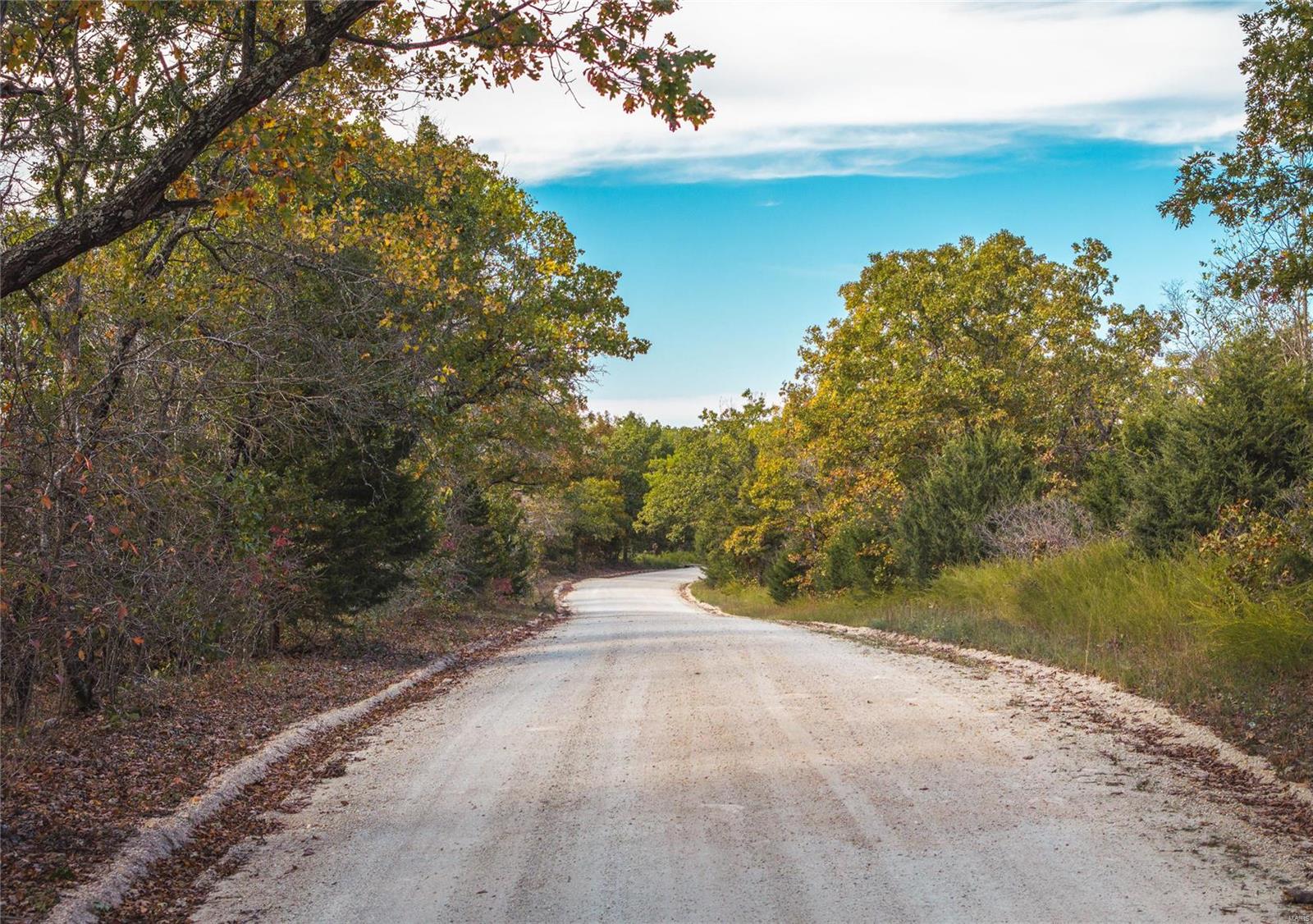 Photo 2 - Farm for sale – 0  Cedar Ford   Steelville, MO