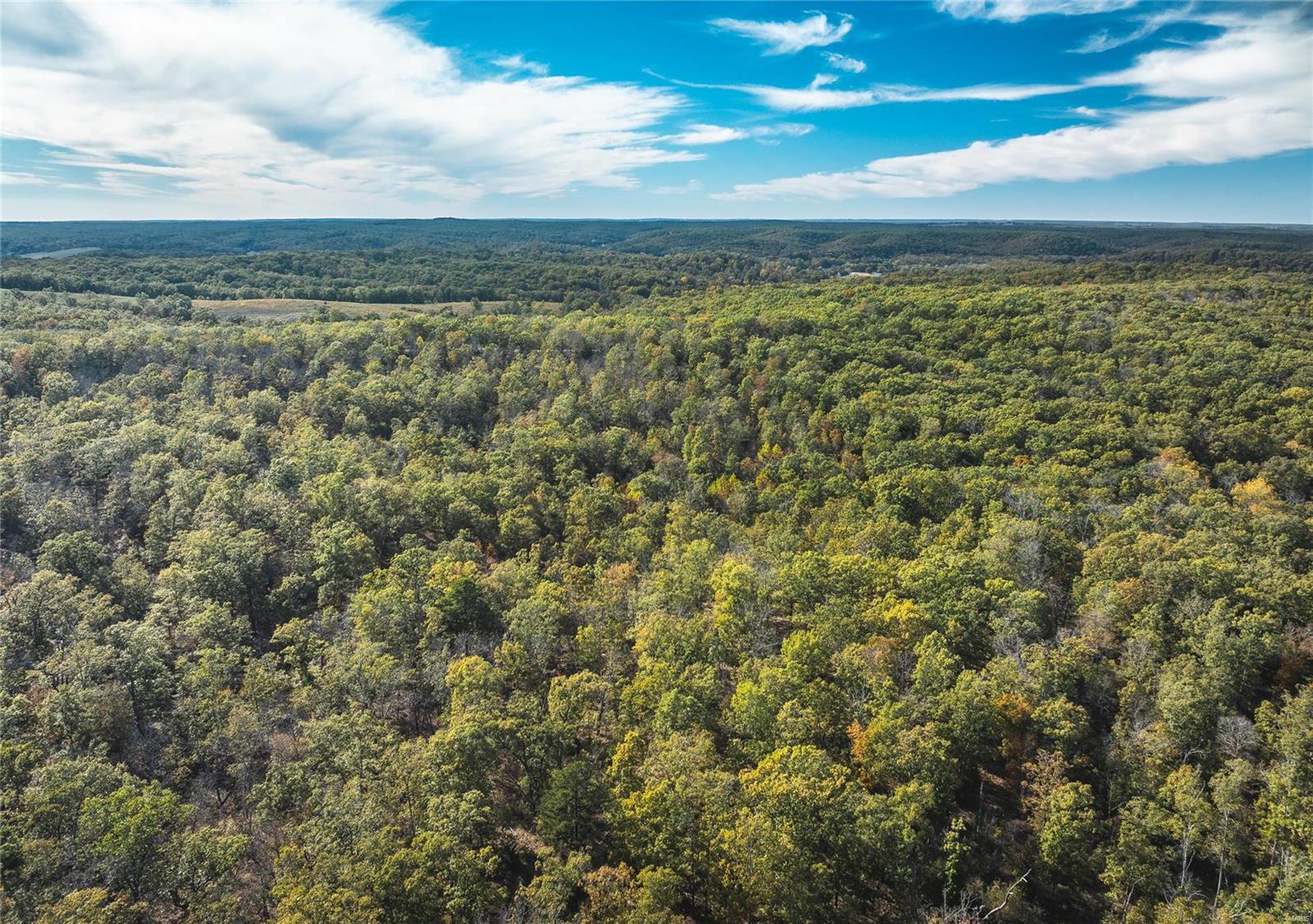 Photo 19 - Farm for sale – 0  Cedar Ford   Steelville, MO