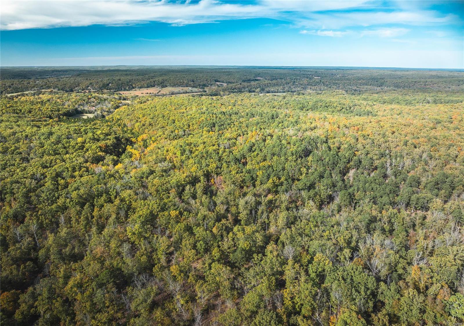 Photo 9 - Farm for sale – 0  Cedar Ford   Steelville, MO