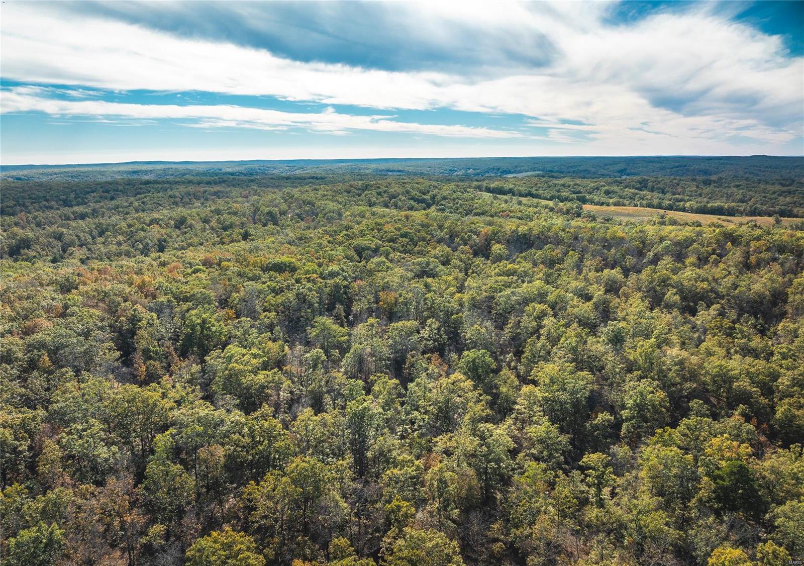 Photo 12 - Farm for sale – 0  Cedar Ford   Steelville, MO