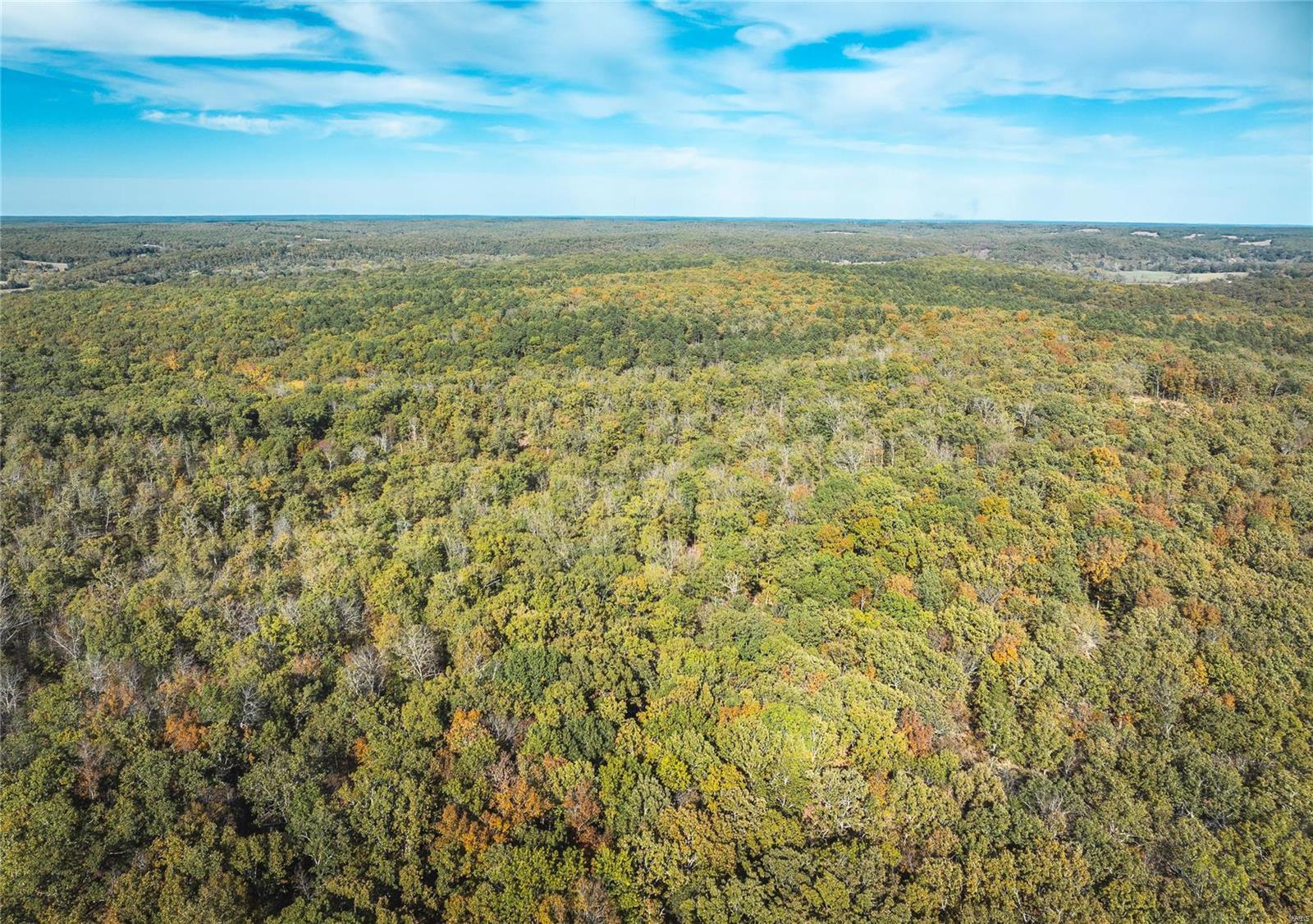 Photo 17 - Farm for sale – 0  Cedar Ford   Steelville, MO