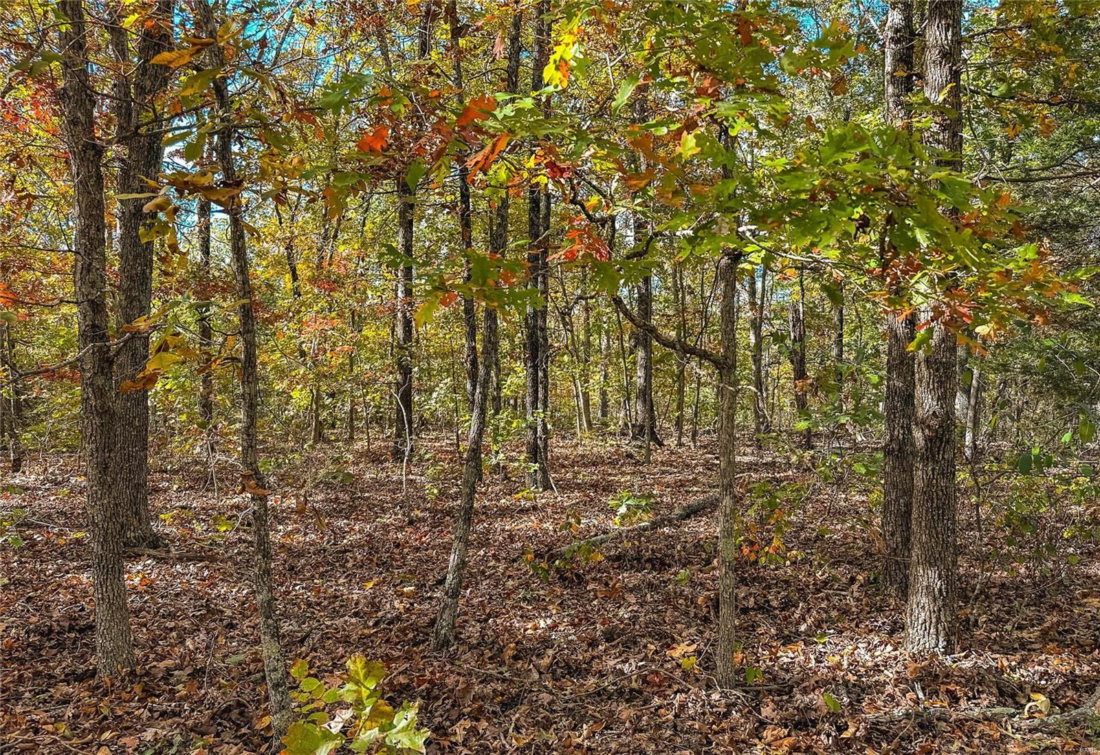 Photo 26 - Farm for sale – 0  Cedar Ford   Steelville, MO