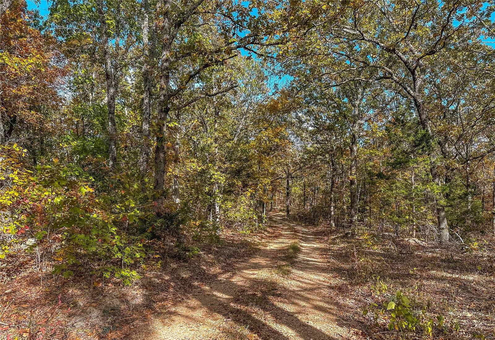 Photo 23 - Farm for sale – 0  Cedar Ford   Steelville, MO
