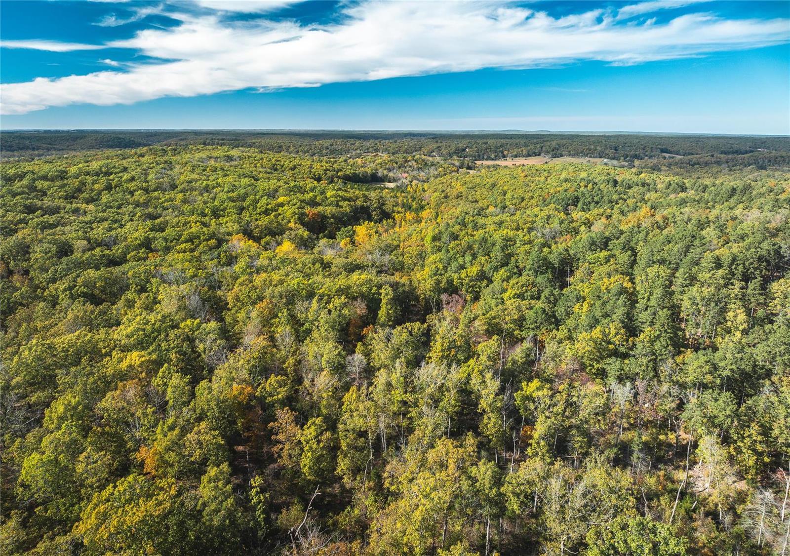 Photo 11 - Farm for sale – 0  Cedar Ford   Steelville, MO