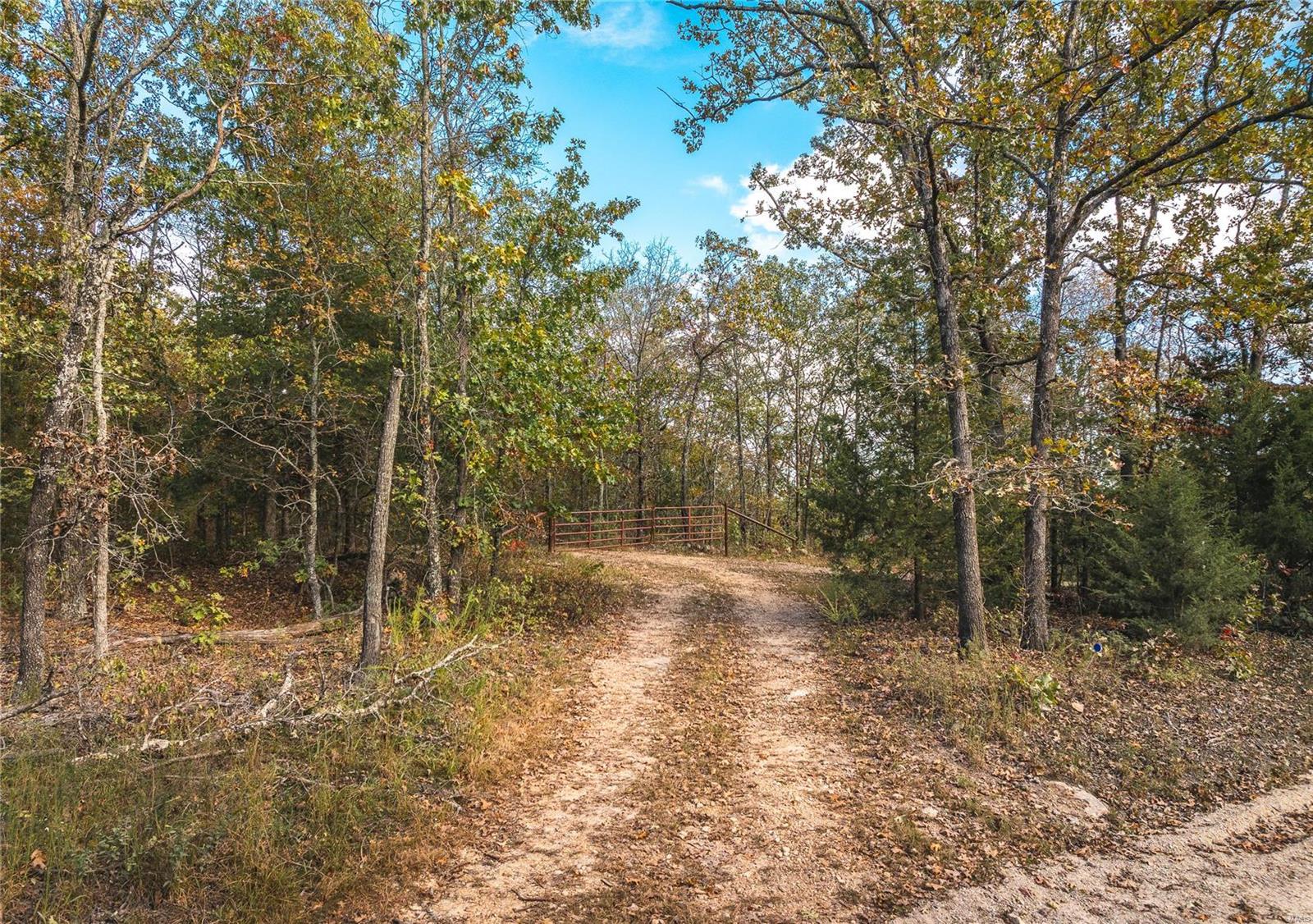 Photo 3 - Farm for sale – 0  Cedar Ford   Steelville, MO