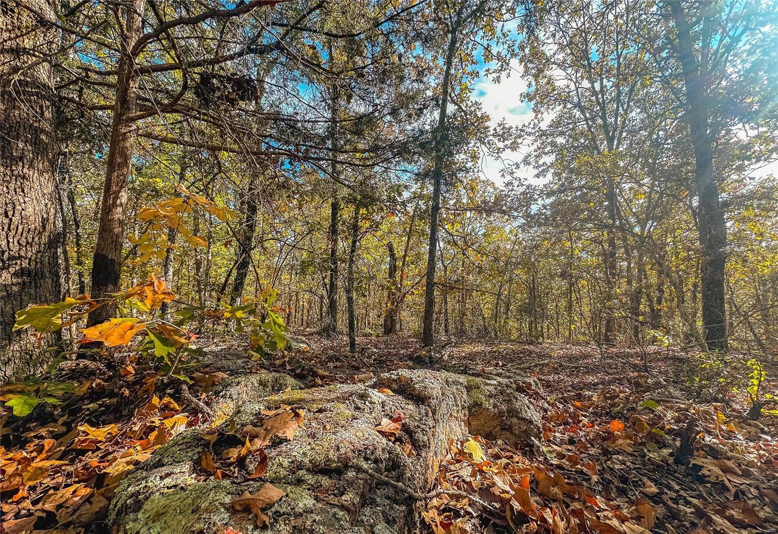 Photo 25 - Farm for sale – 0  Cedar Ford   Steelville, MO