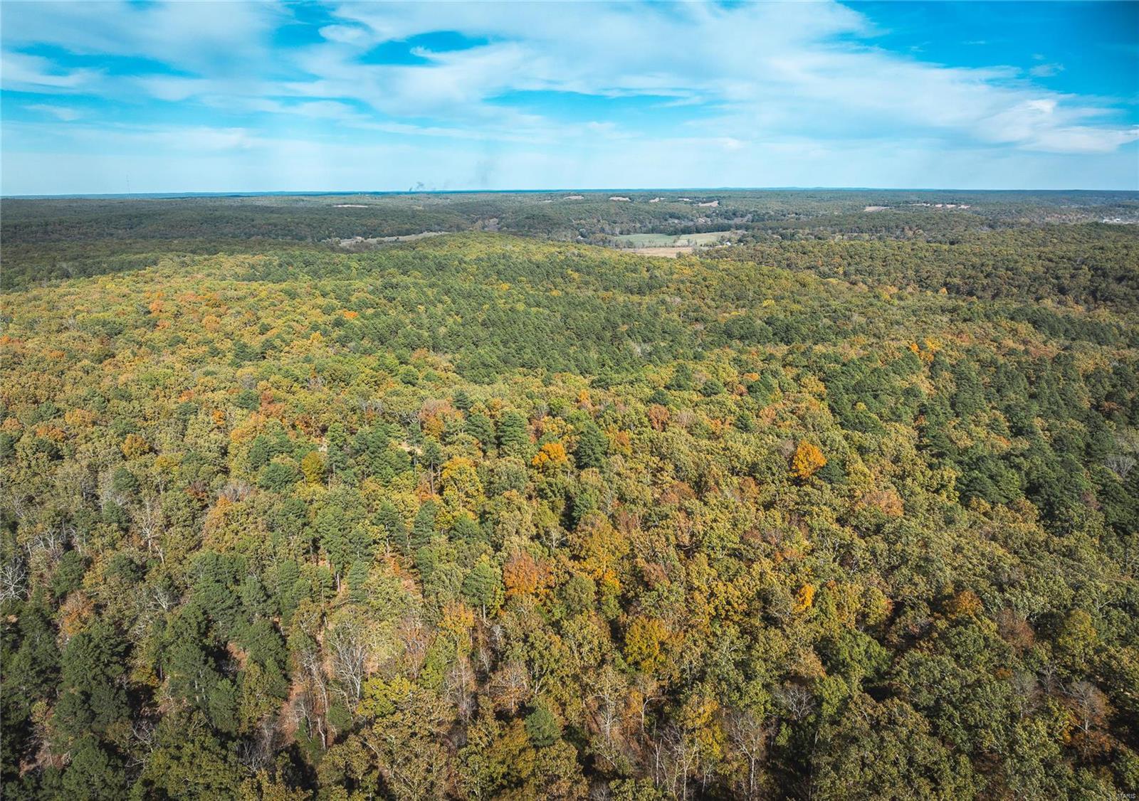 Photo 13 - Farm for sale – 0  Cedar Ford   Steelville, MO