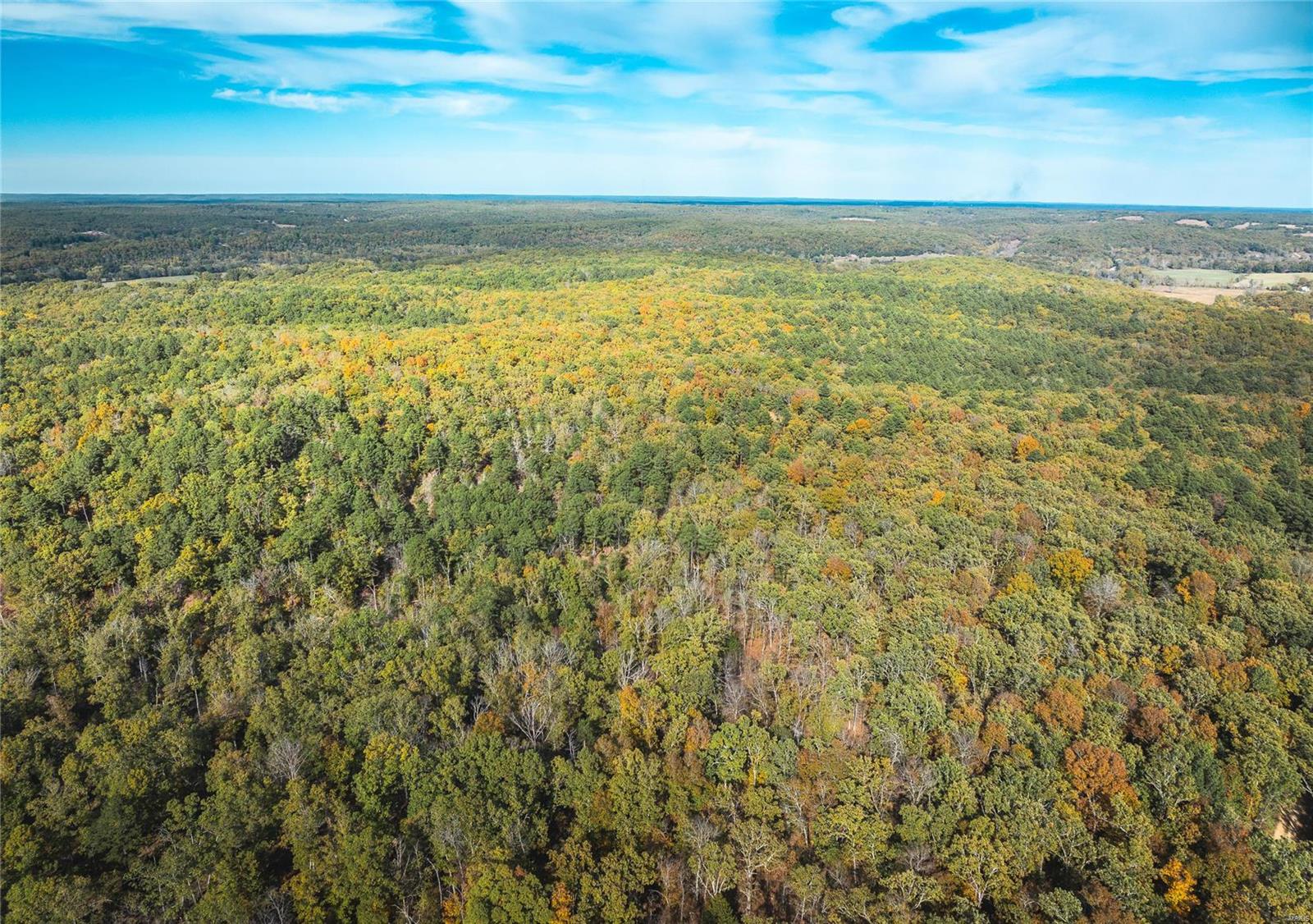 Photo 10 - Farm for sale – 0  Cedar Ford   Steelville, MO