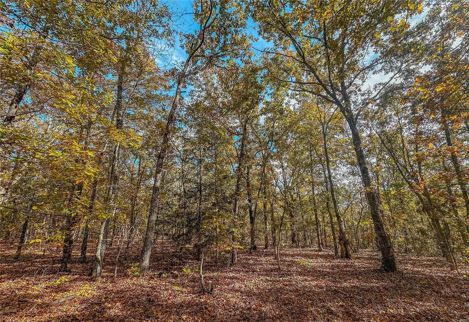 Photo 24 - Farm for sale – 0  Cedar Ford   Steelville, MO