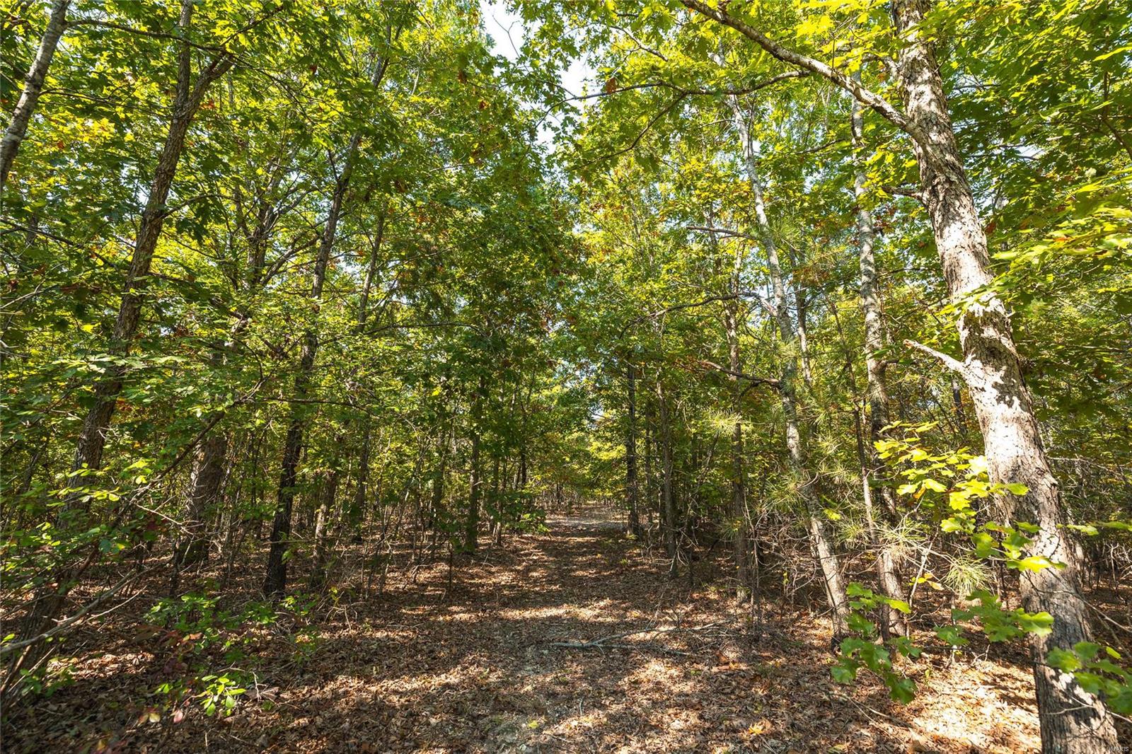Photo 22 - Farm for sale – 0  Cedar Ford   Steelville, MO