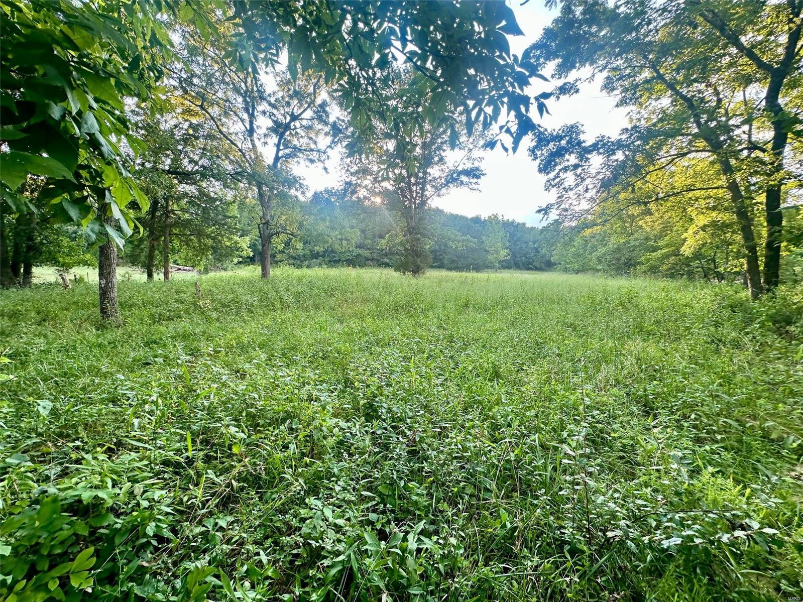 Farm/Ranch/Land for sale – 19270  Cockrell Road  Yukon, MO