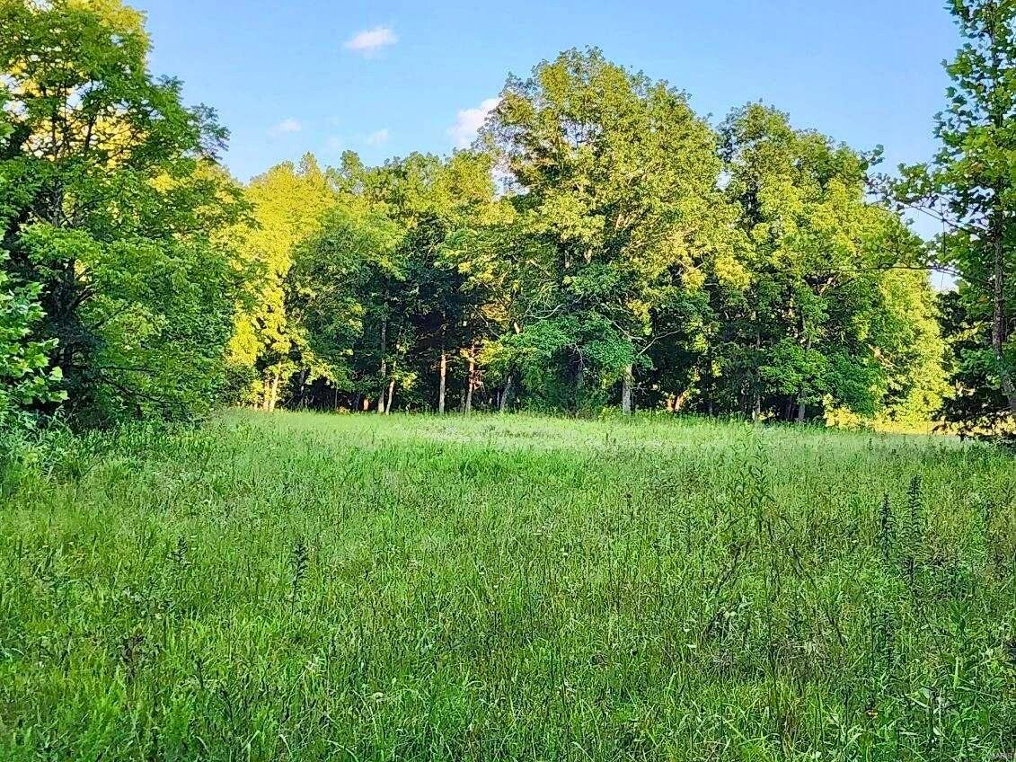 Farm/Ranch/Land for sale – 19270  Cockrell Road  Yukon, MO