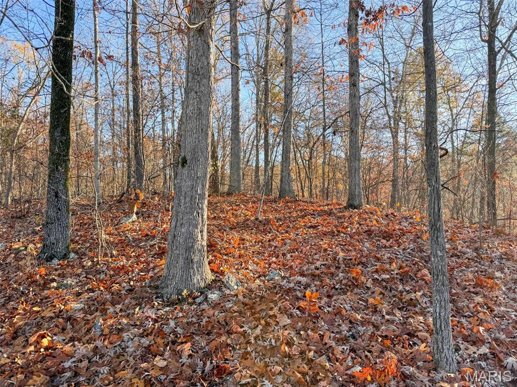 Photo 45 - Farm for sale – 0  Highway K   Jadwin, MO